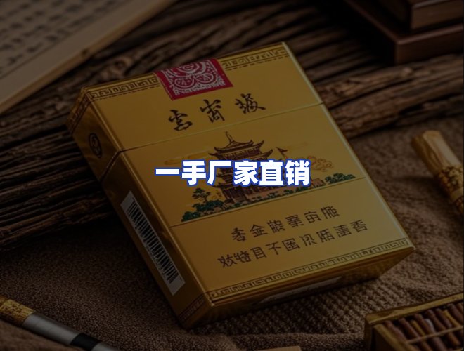 专业团队